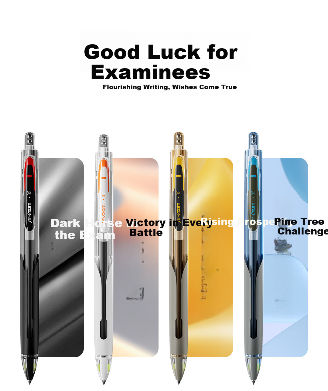 Dianshi 5A Retractable 0.5mm Black Carbon Neutral Pen Bullet Tip Double Ball Quick-Dry Smooth Student Exam Pen Transparent Barrel 12-Pack Back to School 19