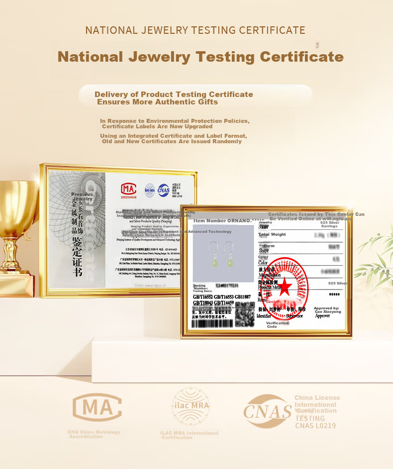 Chinese Jewelry Silver Hetian Jade Stud Earrings for Women 2026 New Commemorative Chinese Style Drop Earrings Premium Birthday Gift for Girlfriend 5