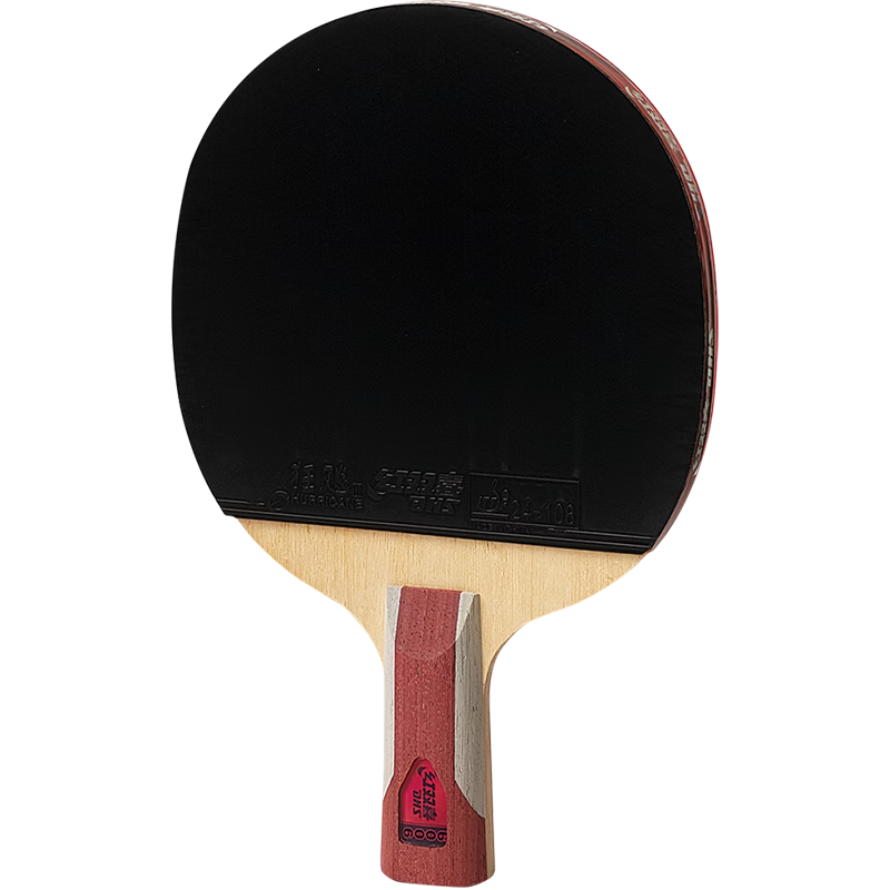 DHS Table Tennis Racket Double-Sided Inverted Rubber Offensive Style Sun Yingsha F6006 Penhold Single Racket