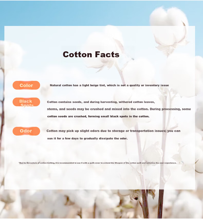 Fuanna Class A Cotton Summer Quilt 60s Pure Cotton Sateen Cooling Quilt All Cotton Air Conditioning Quilt Double Extra Large 230*229cm 9