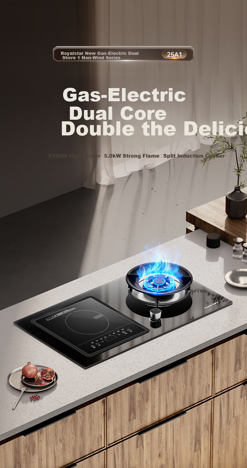 Royalstar Extraordinary Series Dual Fuel Gas and Electric Stove Built-in Double Burner Gas Cooker with Copper Burner Cap JZDY-25A1 Left 2