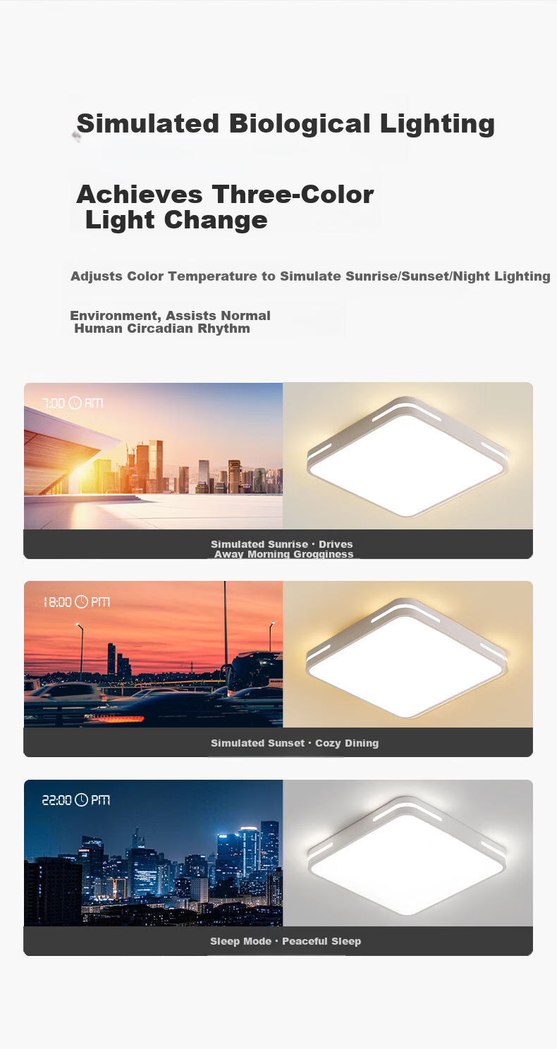 ARROW Ceiling Light Set Nordic Style Living Room Bedroom Dining Room Balcony Lamp with Installation 8