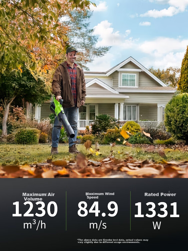 Greebo 40V Cordless Leaf Blower C13 Lithium Battery Snow Blower Garden Dust Blower Powerful Blower Bare Tool 2