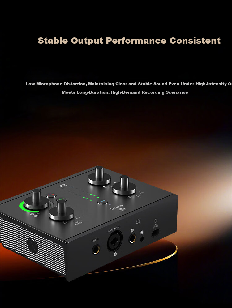 ICON Panel 2 Live Streaming Audio Interface P2 External Computer Sound Card Professional Host Singing KTV Recording Live Broadcast E-commerce Gaming Stage Performance Teaching Streaming Equipment 6