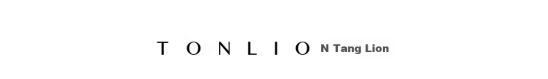 TonLion 2026 Summer Women's Patterned Polo Collar Short Sleeve T-Shirt Loose Casual Fashion Comfortable Versatile Simple Women's T-Shirt 11
