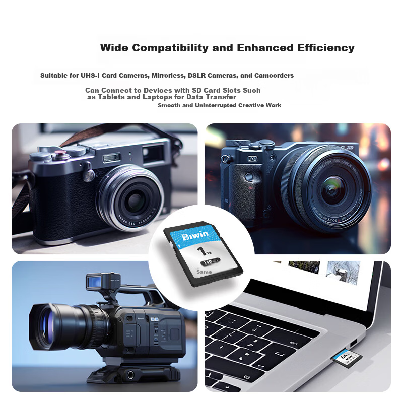 BIWIN 1TB SD Memory Card U3 V30 High-Speed Camera SD Card 4K Ultra HD Recording 160MB/s Read 120MB/s Write