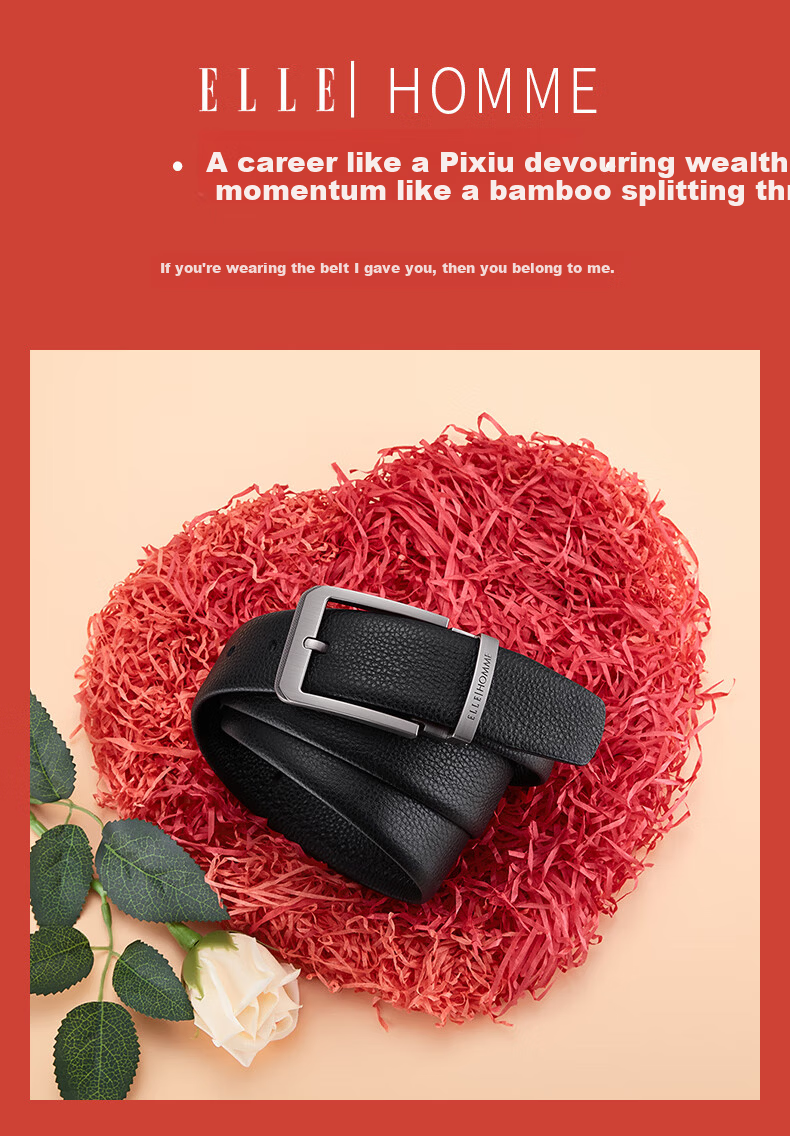 ELLE HOMME French Brand Men's Genuine Leather Belt First Layer Cowhide Pin Buckle Belt Gift Box Birthday Present for Boyfriend Husband 3