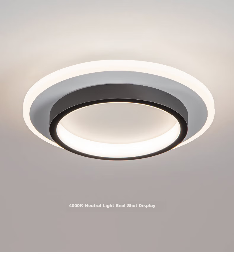 Dengling Ultra-thin LED Corridor Ceiling Light Modern Minimalist Nordic Cloakroom Popular Entrance Balcony Hallway Light 11