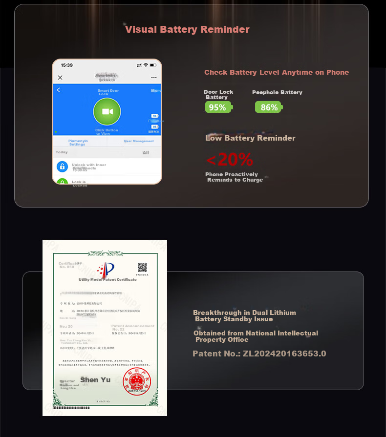 ALPHA AURORA Smart Door Lock P14FVM Upgraded Palm Vein Facial Recognition Password Lock with Free On-site Installation 28