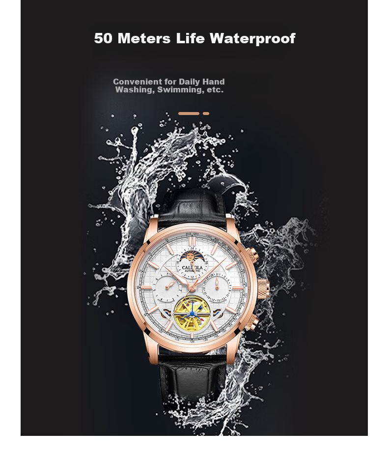 CALUOLA Men's Automatic Mechanical Watch Multifunction Leather Strap Fashion Business Wristwatch Birthday Gift 10