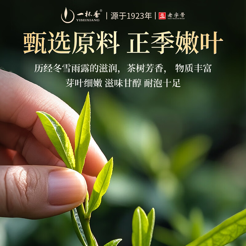 一杯香茶叶乌龙茶武夷山正岩大红袍250g礼盒装送礼自己喝茗茶散装