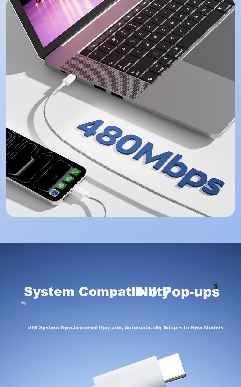 Deli Dual-Head Type-C Charging Cable PD 60W Fast Charge Braided Cable ctoC iPhone 17/16e/15 Pro Max Tablet iPad Car Charger Cable 2-Pack 1.2m 10