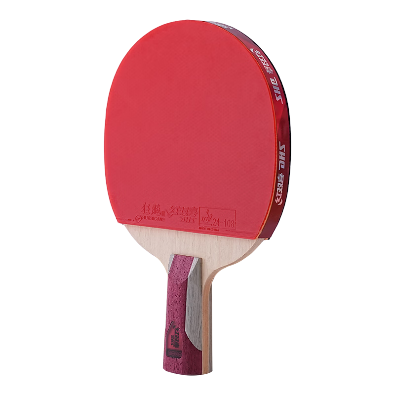 DHS Six-Star Straight Handle Table Tennis Paddle F6006 with 6 Balls and Paddle Cover (Jingcang Fast Delivery)
