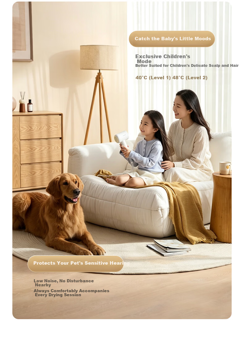 Panasonic High-Speed Hair Dryer Home Quiet Negative Ion Damage-Free Children's Low Noise Quick Drying Gift Box EH-NE8A 12