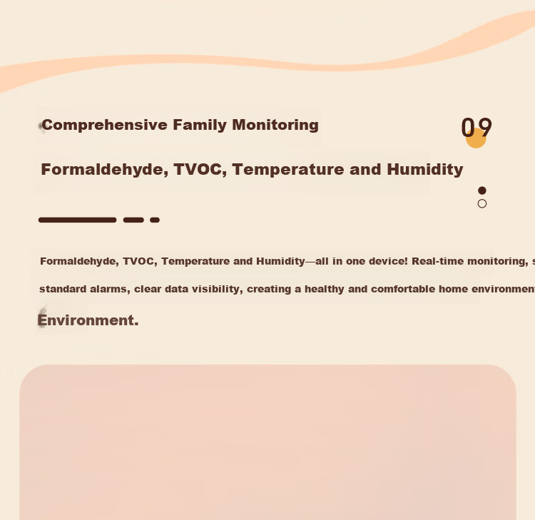 Cexiaofei Formaldehyde Detector High-Precision Professional Home Air Quality Gas Tester PTH-2 11