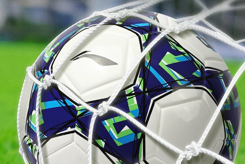 Li-Ning Football No.5 Adult Youth Standard Middle School Student Competition Training Durable Football 16