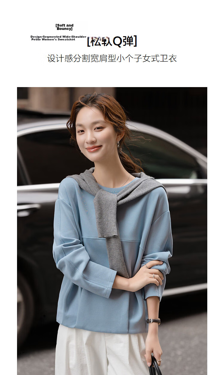Demana Soft Air Layer Spring Elegant Crew Neck Design Segmented Pleated Wide Shoulder Petite Women's Sweatshirt 4