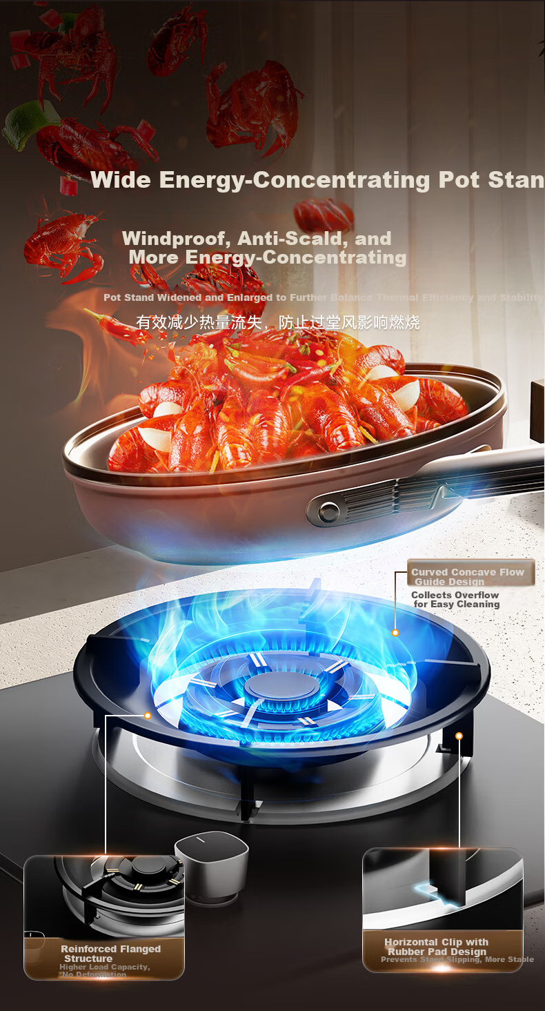 Royalstar Extraordinary Series Dual Fuel Gas and Electric Stove Built-in Double Burner Gas Cooker with Copper Burner Cap JZDY-25A1 Left 9