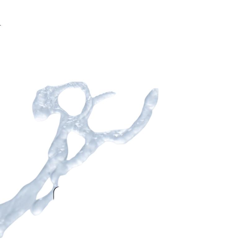 White Image 2