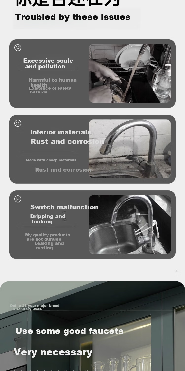 Delr [28 Years Brand] Stainless Steel Kitchen Faucet Single Cold 360° Rotation Sink CFLT-DL 3