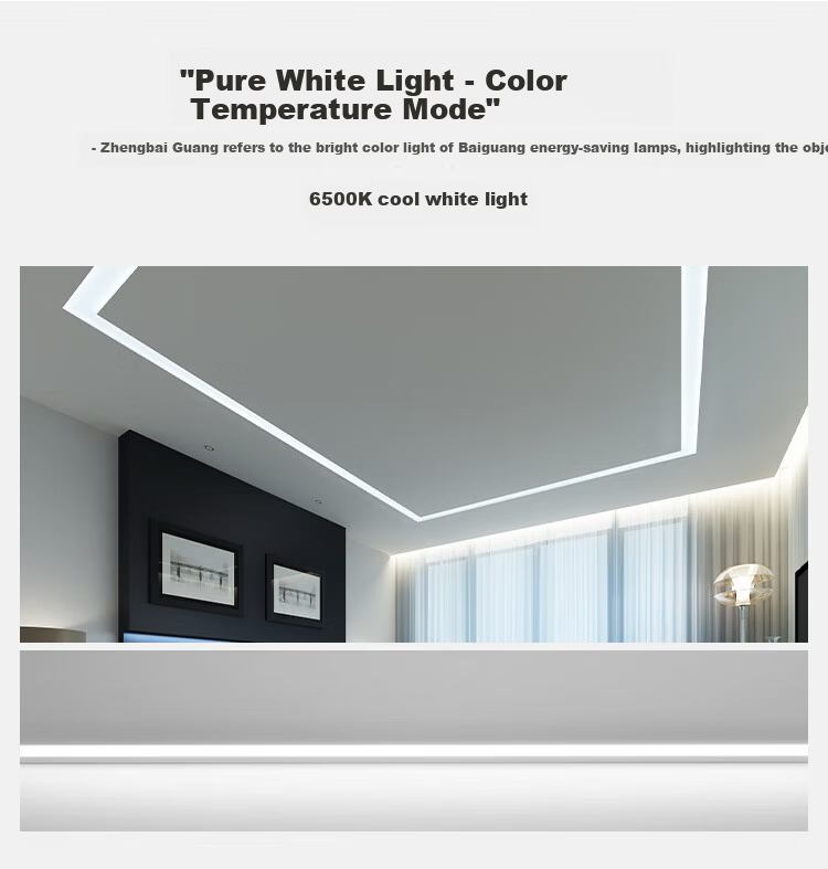 Foshan Lighting (FSL) T8 LED Tube Light Daylight Tube High Efficiency Energy Saving Double-End 1.2m 20W White Light 6500K Complete Set with Bracket 5