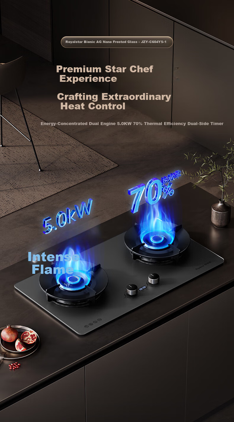 Royalstar Gas Stove Liquefied Gas Double Burner Built-in 5.0kW High Flame Dual-Side Timer Matte Glass Gas Cooktop 70% Thermal Efficiency JZY-C604YS-1 2