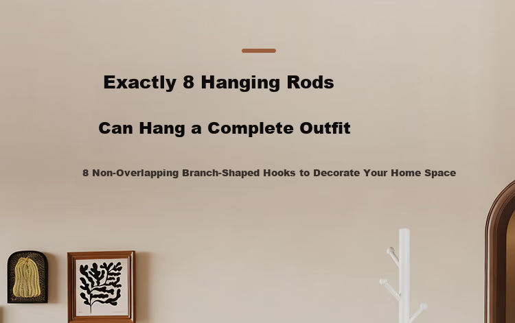 Yicai Nianhua European Style Floor Coat Rack Metal Standing Clothes Hanger Simple Corner Bag Hanger 5065-BK 17