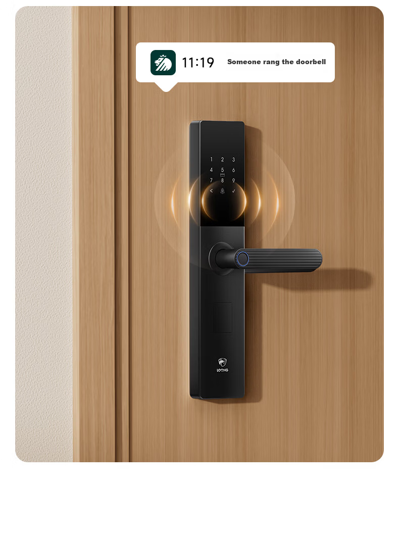 Longting Deschmann Smart Door Lock Fingerprint Password T3 (9% Off in Jiadichao Head Live Room) 19