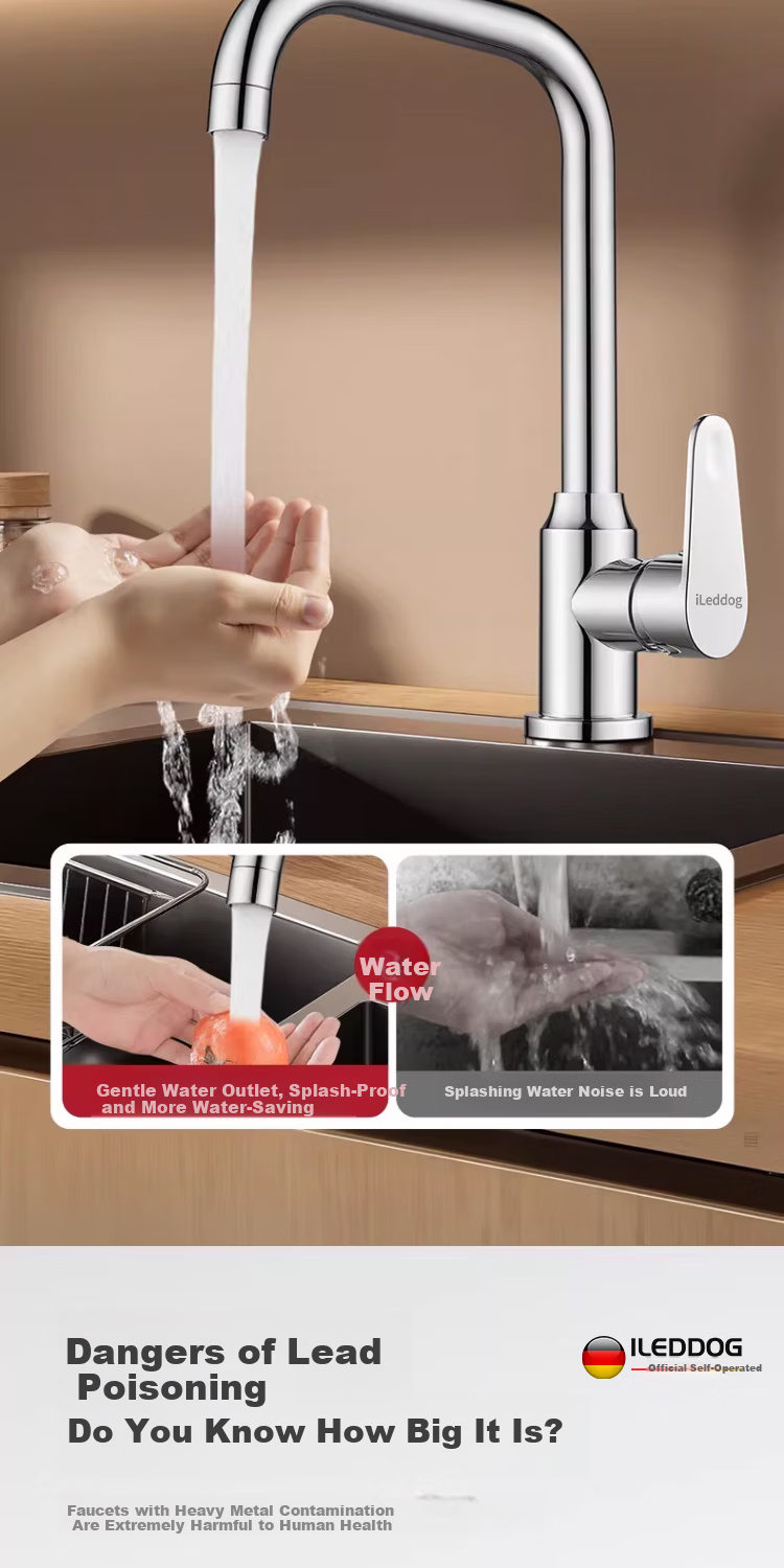 ILeddog [Germany] All-Copper Kitchen Faucet Household Vegetable Sink Pressurized Splash-Proof Hot and Cold Faucet CFLT-LR 8