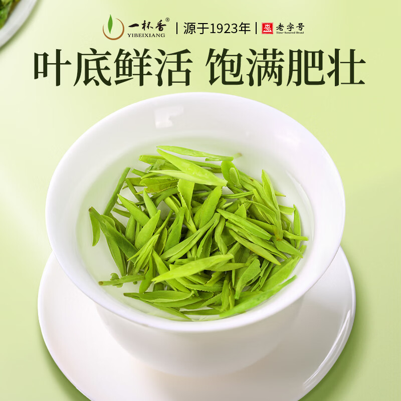 一杯香茶叶绿茶正宗明前龙井茶2罐共250g2026新茶礼盒装送礼自己喝