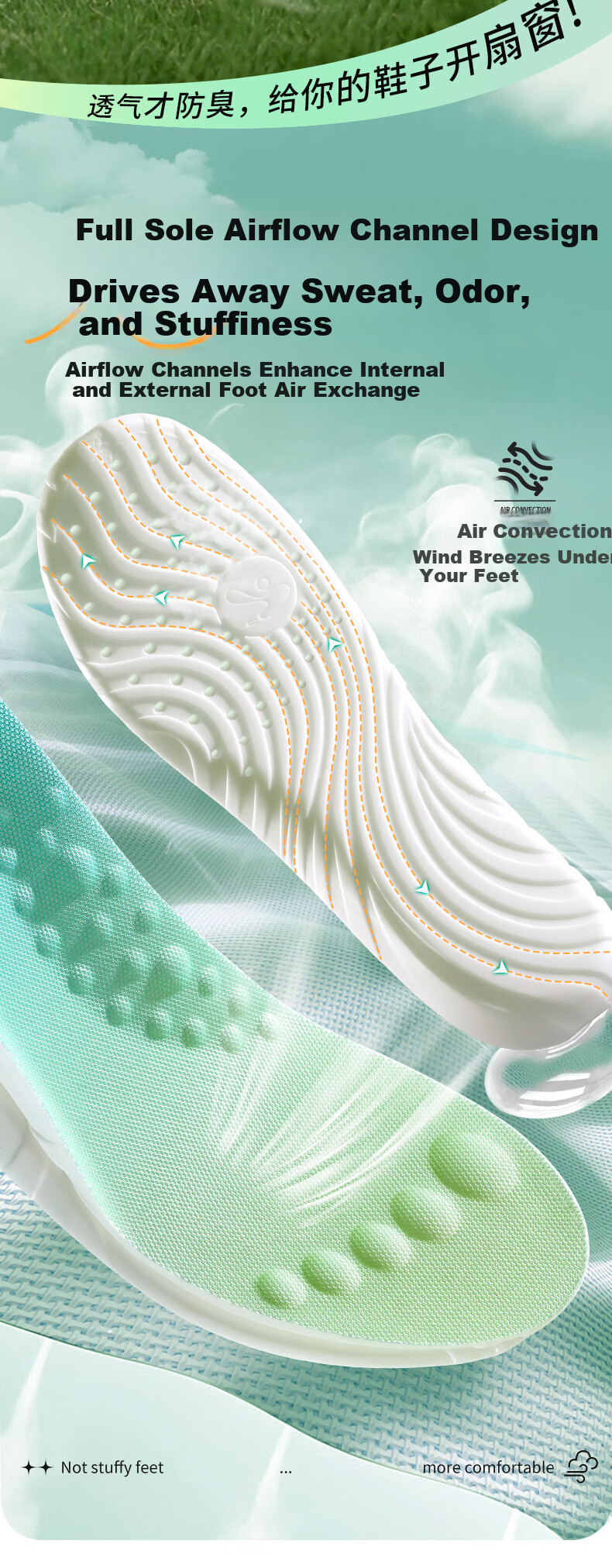 Oriental Footprint 2 Pairs Arch Support Insoles Sports Shock Absorption Cushioned Breathable Sweat-Absorbing Soft Elastic Flat Feet Unisex Size 43-44 10