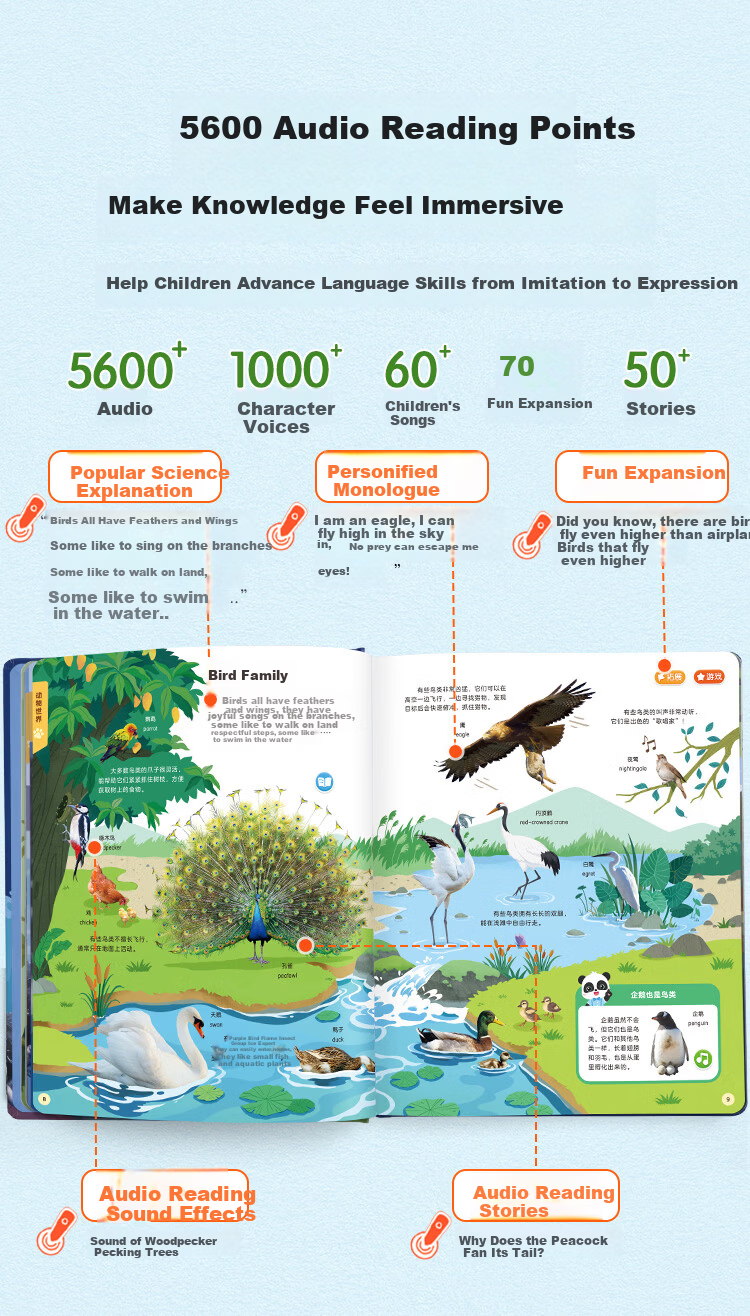 BabyBus Baby Bus 2-6 Years Science Enlightenment Dual Encyclopedia Set Children's Day Gift 11