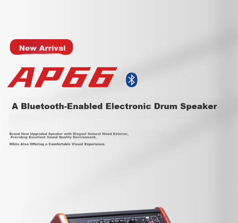 MEDELI AP66 2021 Electronic Drum Bluetooth Professional Speaker 1