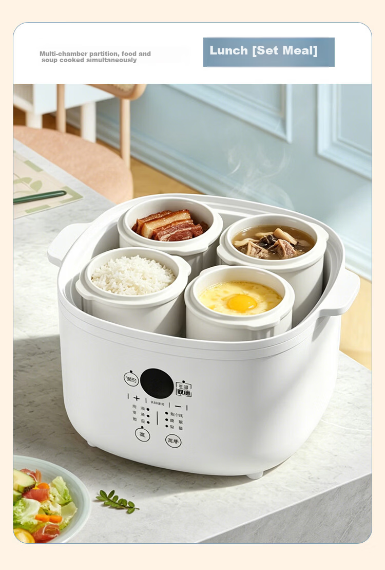 TONZE Electric Stew Pot, Double Boiler, Home Automatic Soup Maker, Ceramic Inner Pot, Bird's Nest Stew Pot, Special Steam Stewing Multi-Function Cooker, One Pot with 4 Inner Pots, DGD25-25AG 8