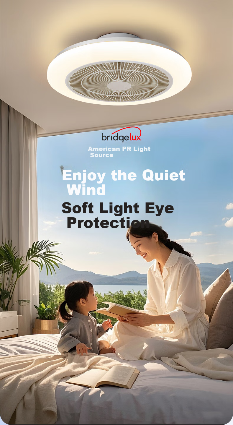 Dell Fan Light Pure Eye Protection Bedroom Invisible Fan LED Ceiling Fan Light Integrated Dining Room Light with Fan Installation Included 1