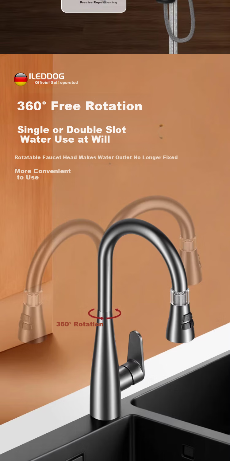 ILeddog [Germany] All-Copper Kitchen Sink Faucet with Hot and Cold Water, 2-in-1 Pull-Out Filter Faucet CPCL 17