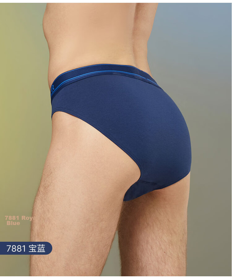 Schiesser Men's Briefs Combed Cotton Becover Series Breathable Mid-Rise Solid Color 2-Pack 13