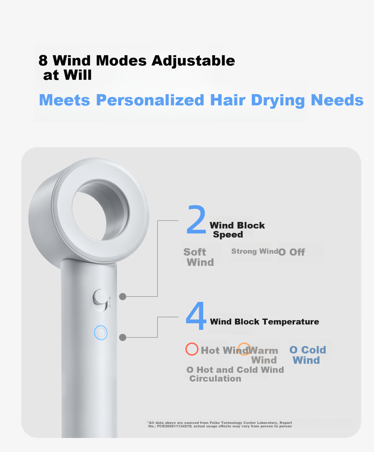 Feike High-Speed Hair Dryer Hollow Air Duct Home Use High Power Quick Dry Low Noise Negative Ion Hair Care Blow Dryer Holiday Gift for Girlfriend H5 Star Ring White Price Guarantee 618 18