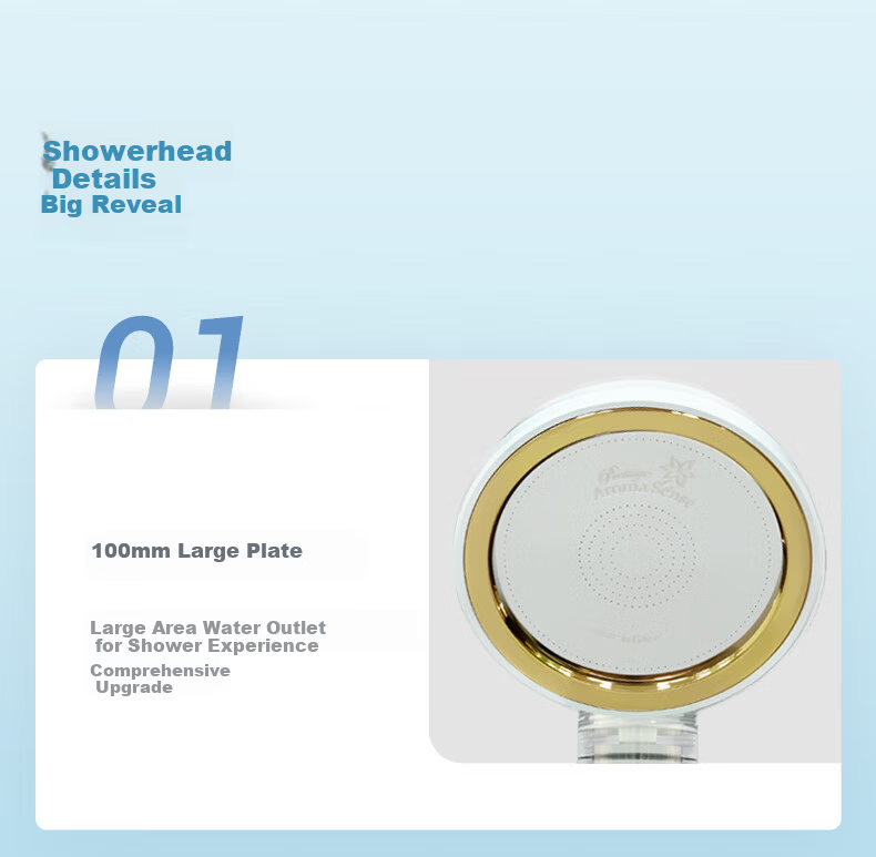 Aroma Sense Filtered High-Pressure Shower Head Anti-Scale Antibacterial Chlorine Removal 100mm Large Area AS-PRC Silver 11