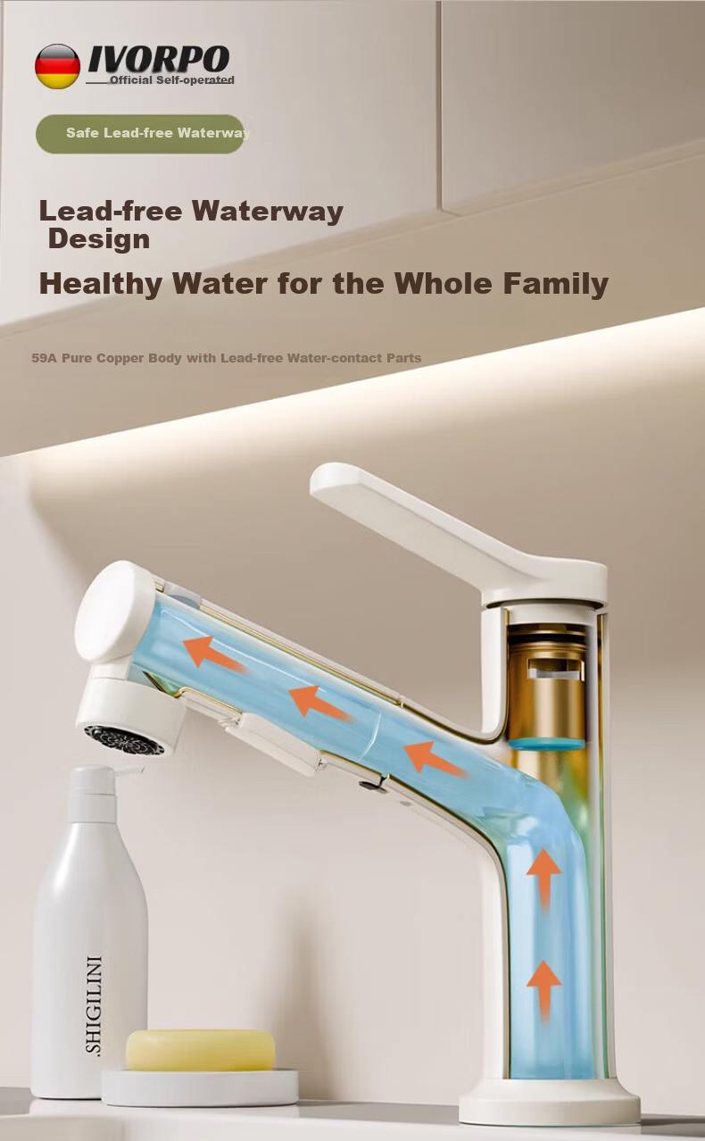 IVORPO German Basin Faucet Pull-Out Hot and Cold Bathroom Sink Tap 16