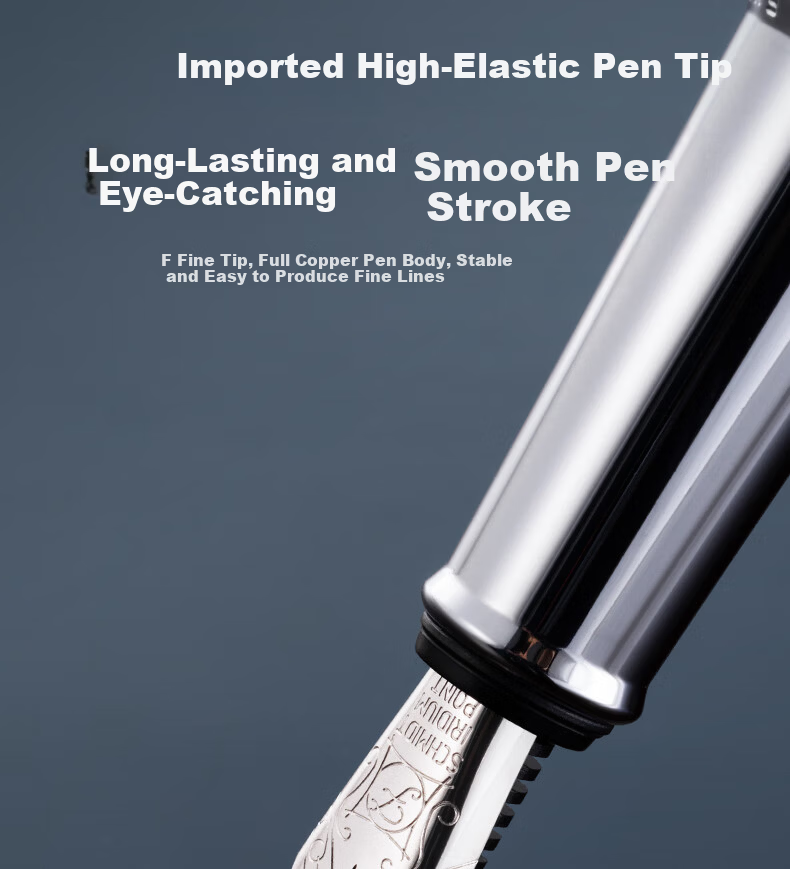 Deli Jiyue Office Fountain Pen, Swan Tail Black F Nib, High-End Business Pen Set, Signature Pen Set, Calligraphy Practice, Teacher's Day/Graduation Gift, A5 F Nib with Silver Clip, College Entrance Exam 3