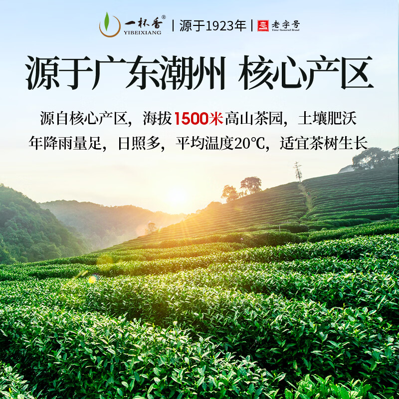 一杯香茶叶潮州乌龙茶凤凰单枞鸭屎香250g礼盒装送礼自己喝散装茗茶