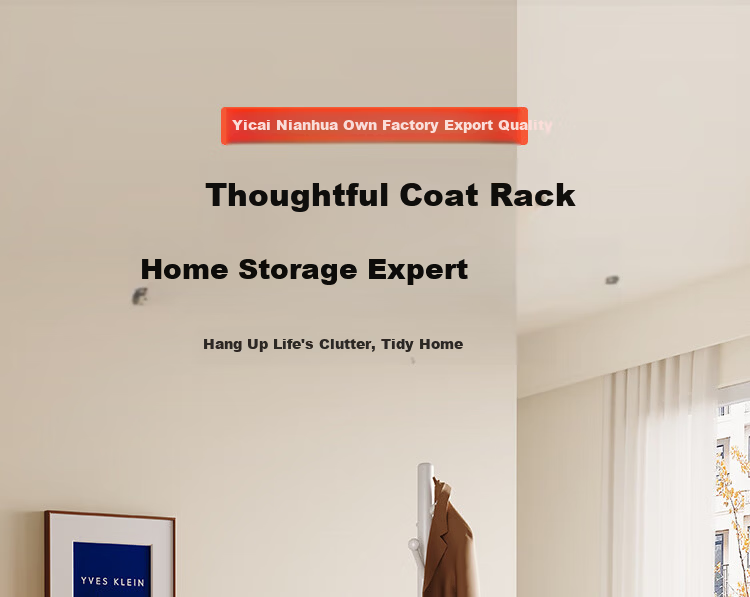 Yicai Nianhua European Style Floor Coat Rack Metal Standing Clothes Hanger Simple Corner Bag Hanger 5065-BK 4