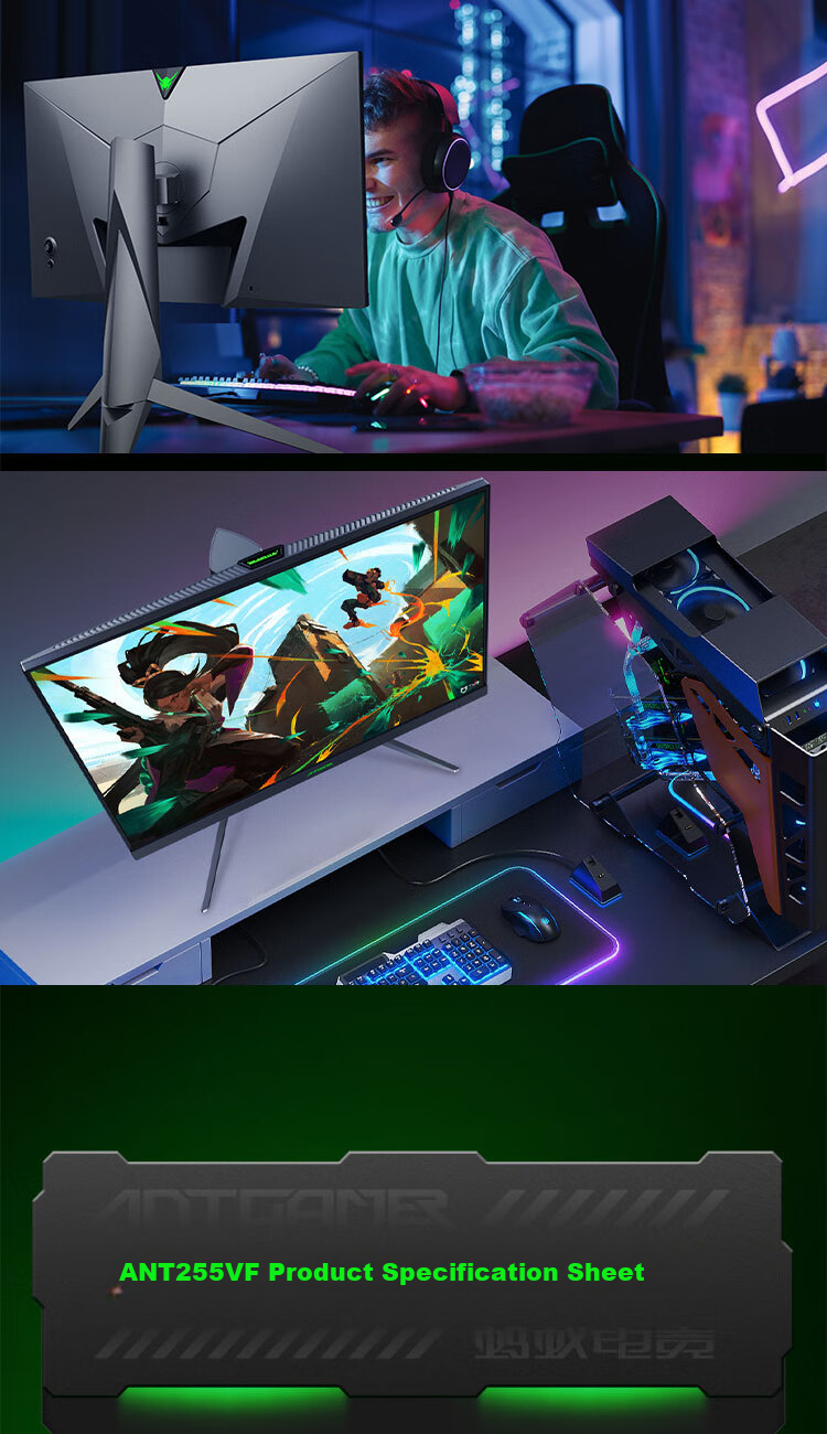 ANTGAMER Ant Esports 24.1-inch 540Hz E-TN Panel Monitor GTG 0.5ms Response Ultra High Refresh HDR400 Fearless Contract Professional Monitor ANT255VF 12