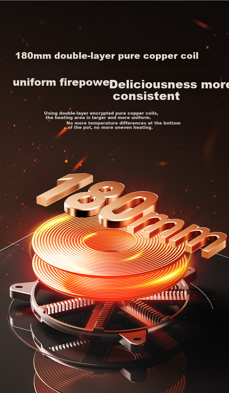 Royalstar Extraordinary Series Dual Fuel Gas and Electric Stove Built-in Double Burner Gas Cooker with Copper Burner Cap JZDY-25A1 Left 4