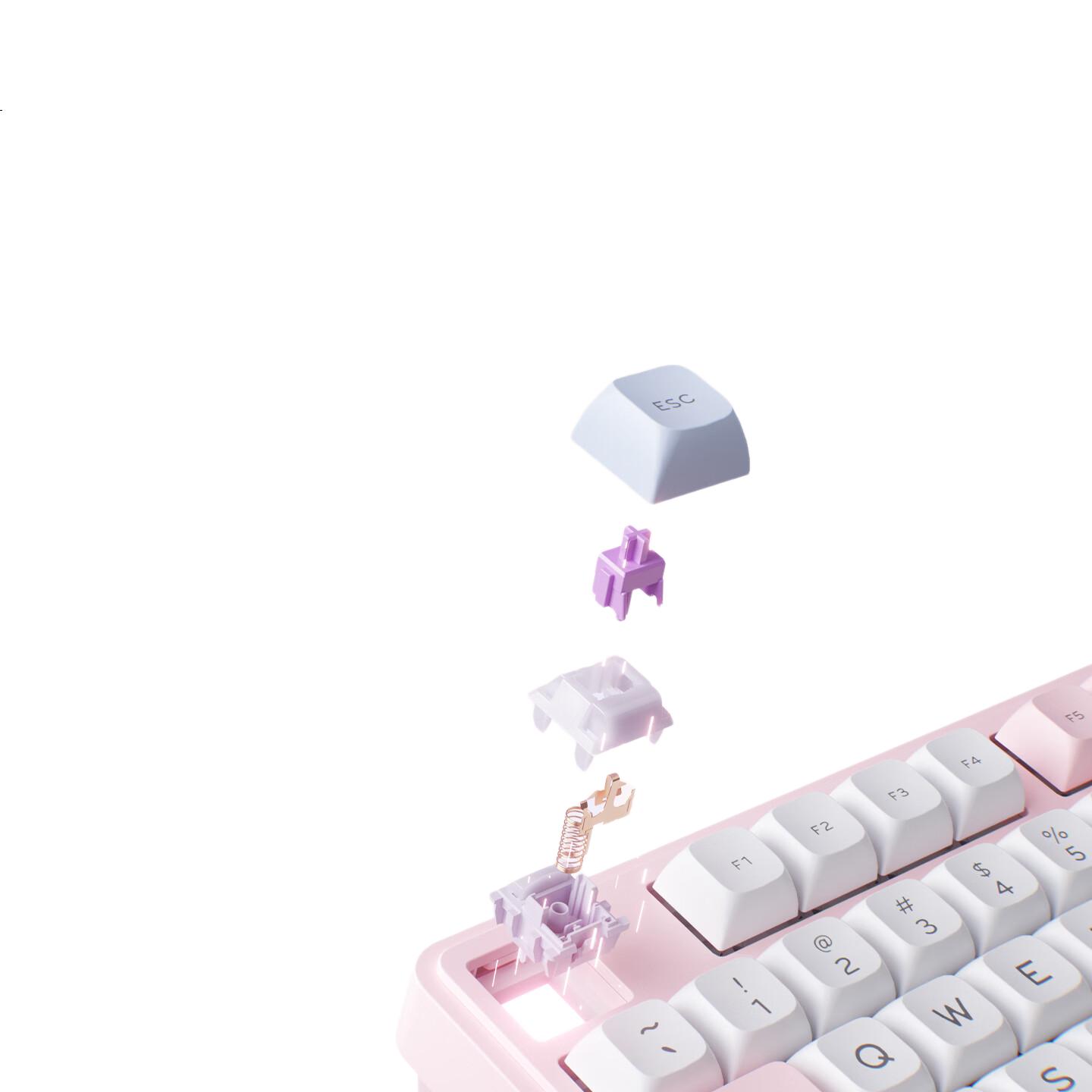 White Image 3