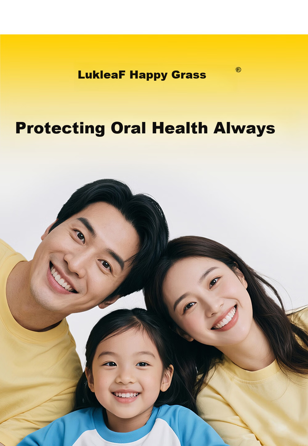 Lukleaf Ultra Soft Bristle Care Toothbrush for Men and Women, Fresh Type, 2-Pack, Color Random 12