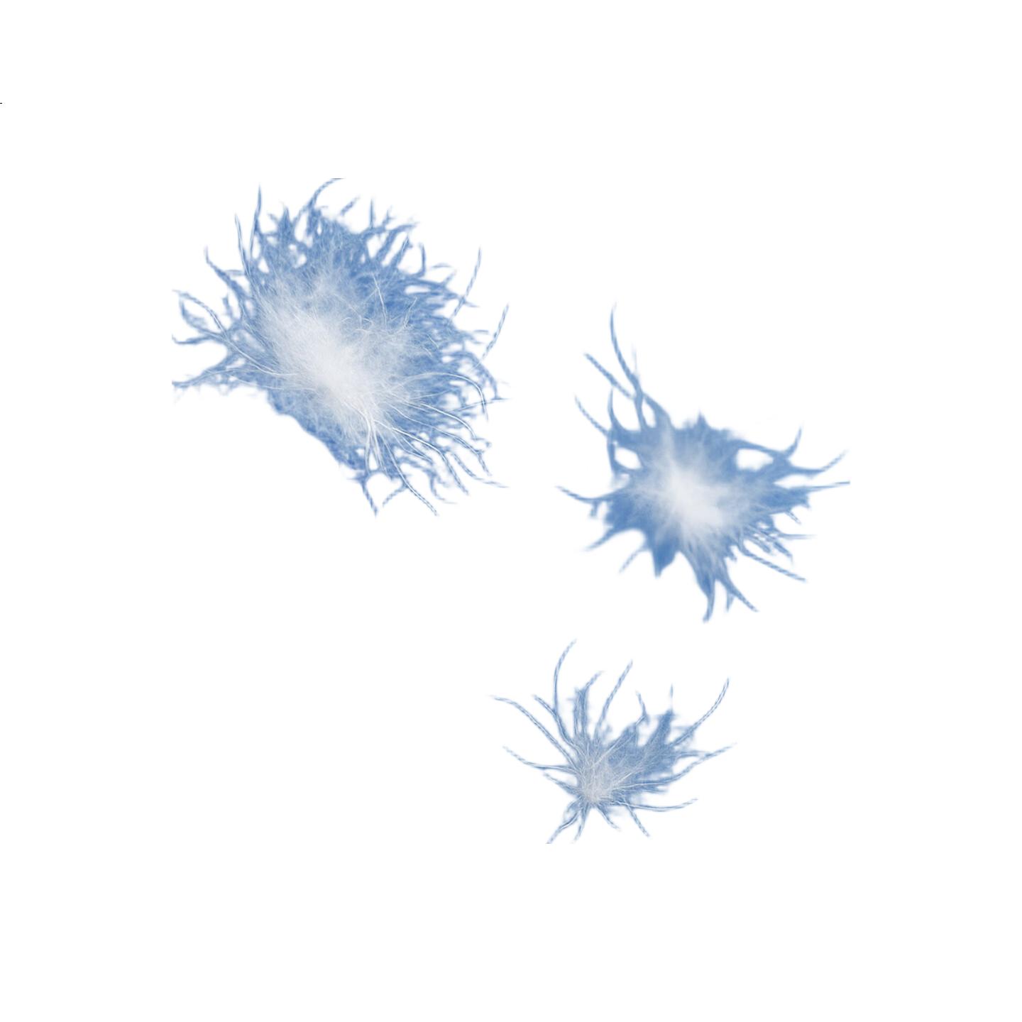 White Image 2