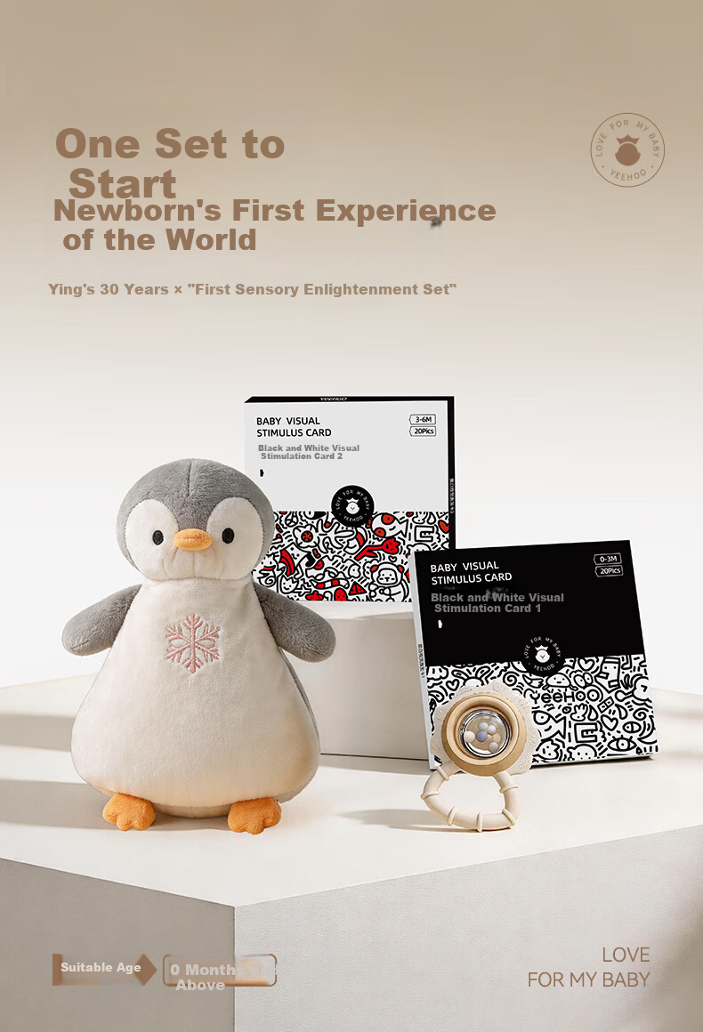 YEEHOO Baby Toy Soothing Sleep Plush Rattle Newborn Black and White Cognitive Cards Early Sensory Enlightenment Set 1