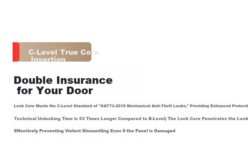 Longting Deschmann Smart Door Lock Fingerprint Password T3 (9% Off in Jiadichao Head Live Room) 22